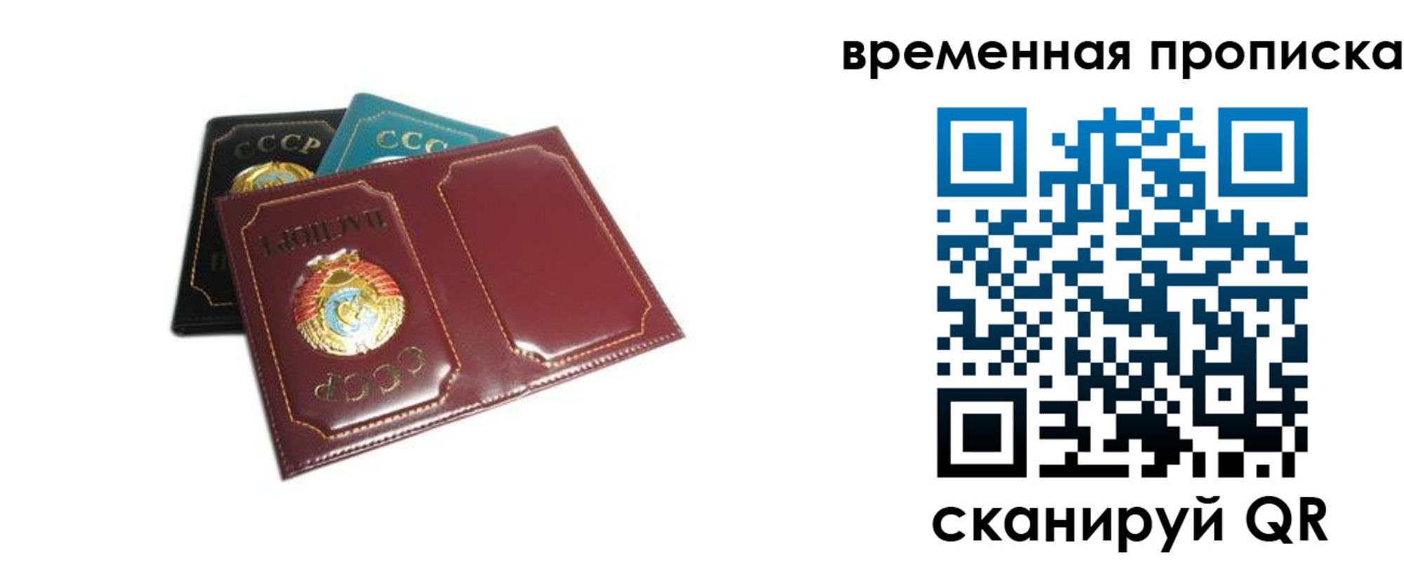 прописка 2025 в Коряжме